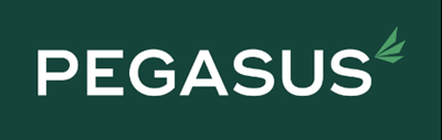 Pegasus Finanace logo